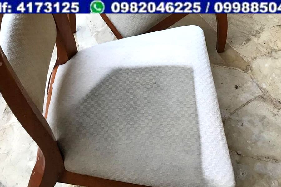 Mr. Clean Cuenca, Azuay y Cañar (Servicio de limpieza y desinfección de todo tipo de tapizado) — foto 3